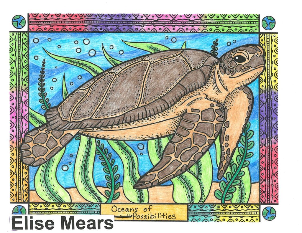 a coloring page of a sea turtle. the turtle is drawn in a "realistic style". there is sea weed in the background and a border around the drawn imagry. At the bottom, the name of the summer reading program is listed.