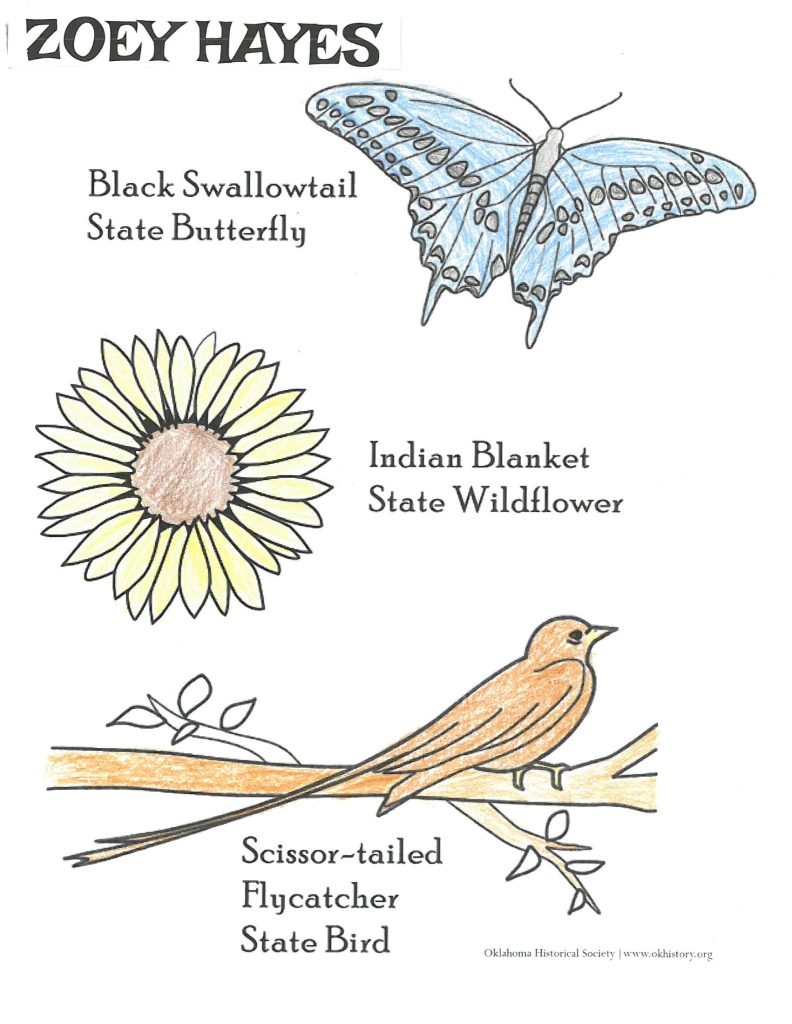 coloring page of the state insect, state flower, and state bird of Oklahoma