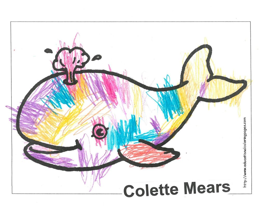 a coloring page of a cartoon whale. the artist has colored the animal with multiple different colors